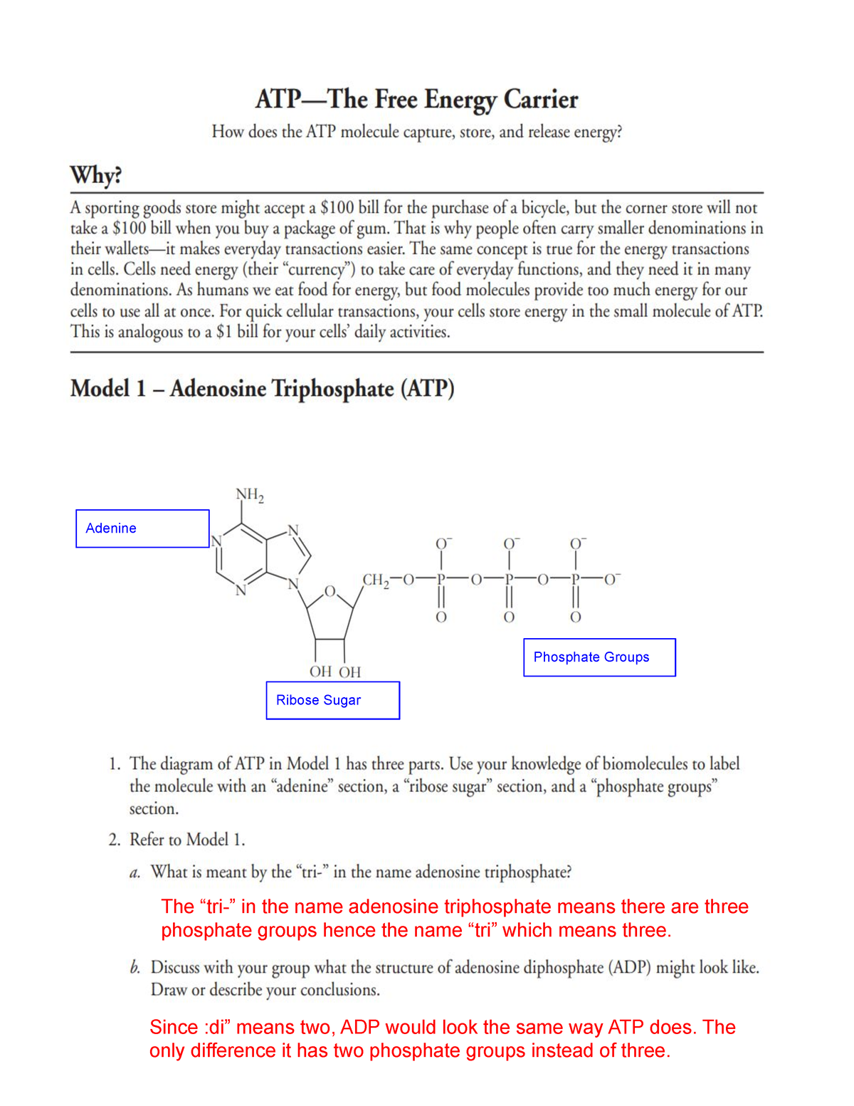 Solved] Describe and draw the structure of an ATP module. What is the  role... | Course Hero