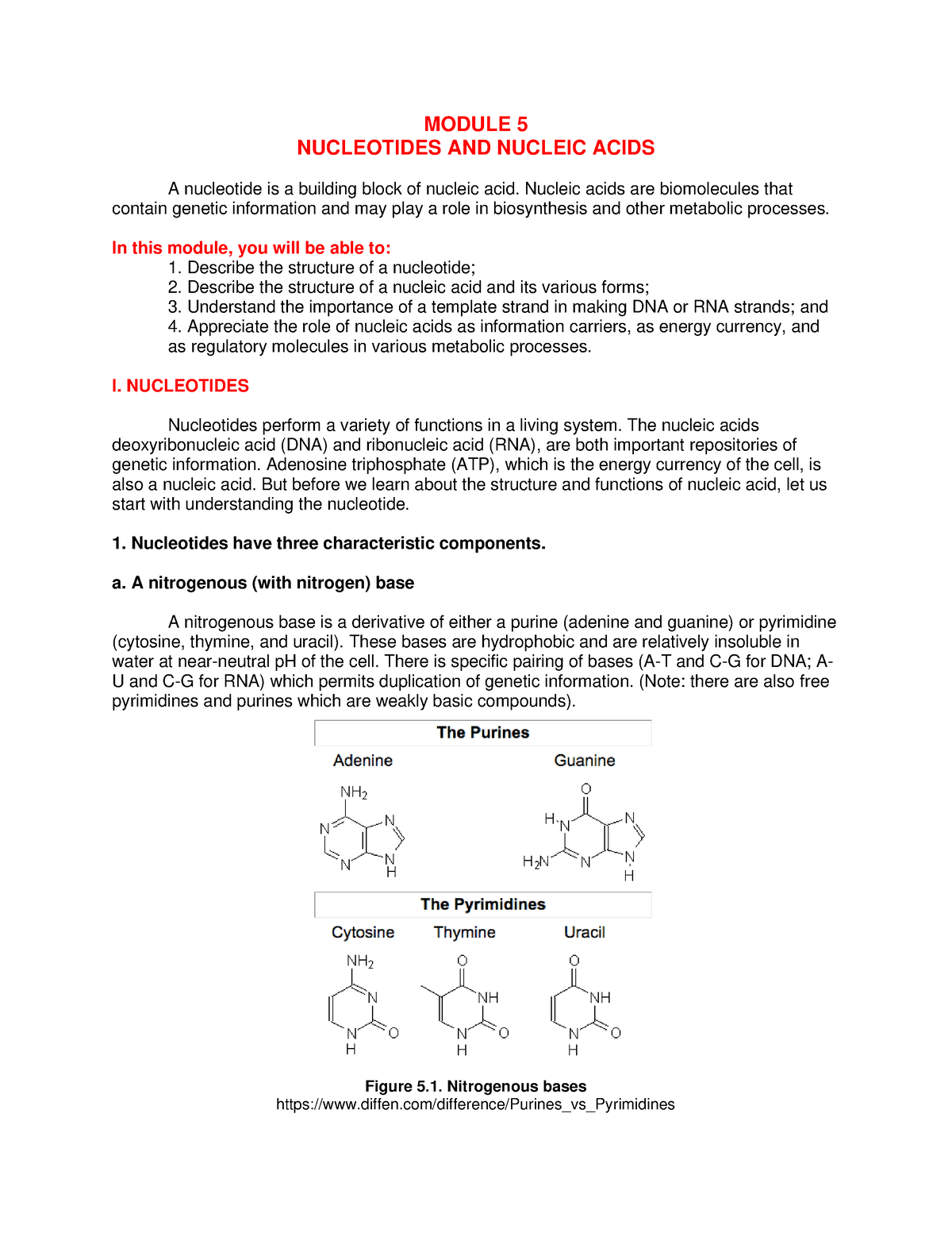 nucleic acid assignment pdf
