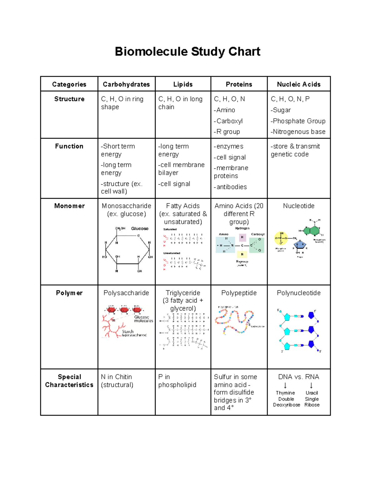 Biomolecule Study Chart-2 - Biomolecule Study Chart Categories ...