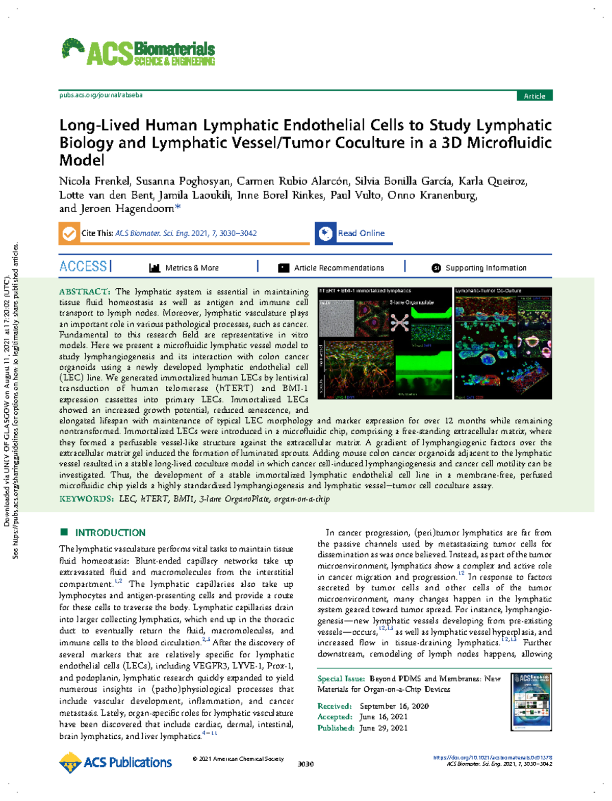 Long-Lived Human Lymphatic Endothelial Cells to Study Lymphatic Biology ...
