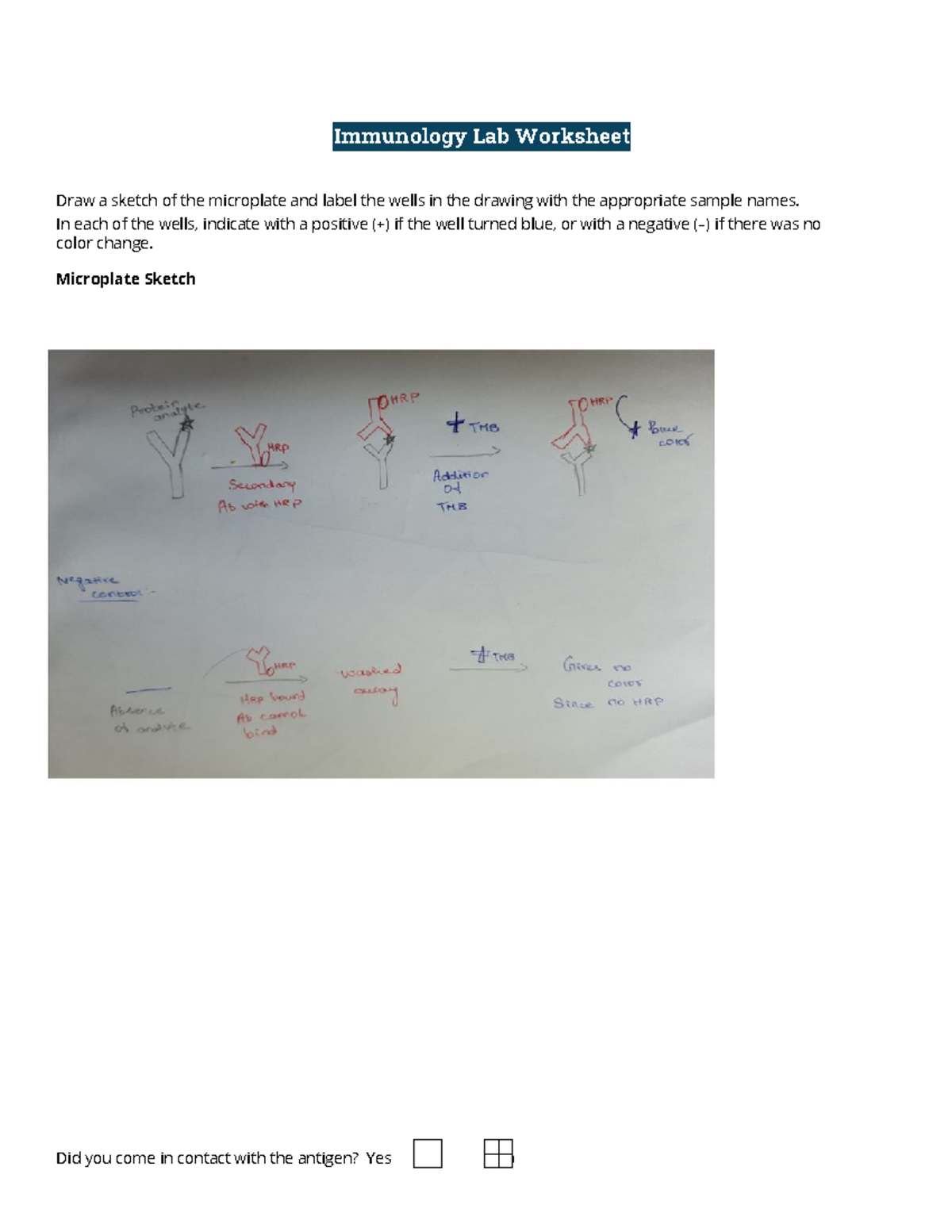 immunology-worksheet-immunology-lab-worksheet-draw-a-sketch-of-the-microplate-and-label-the