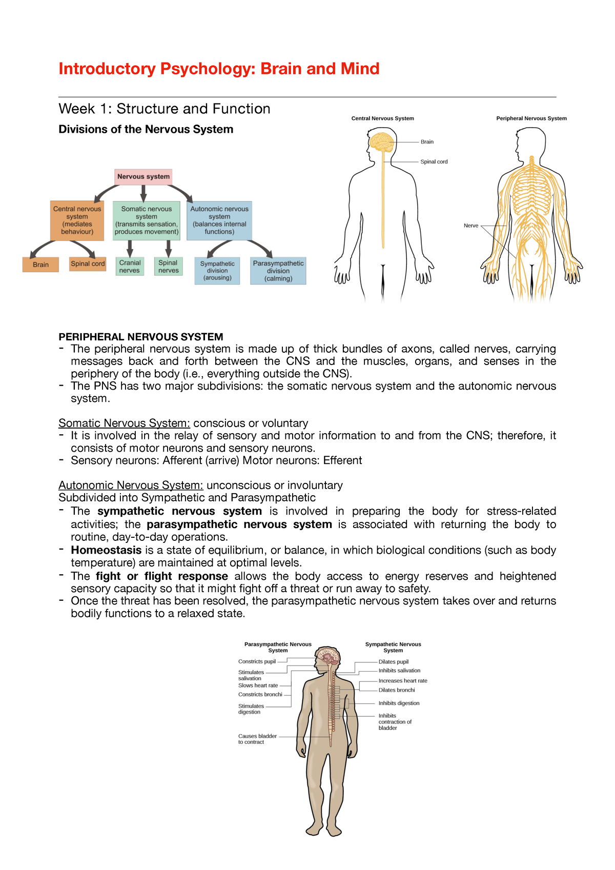 Intro Psych: Brain And Mind Subject Notes - Introductory Psychology ...