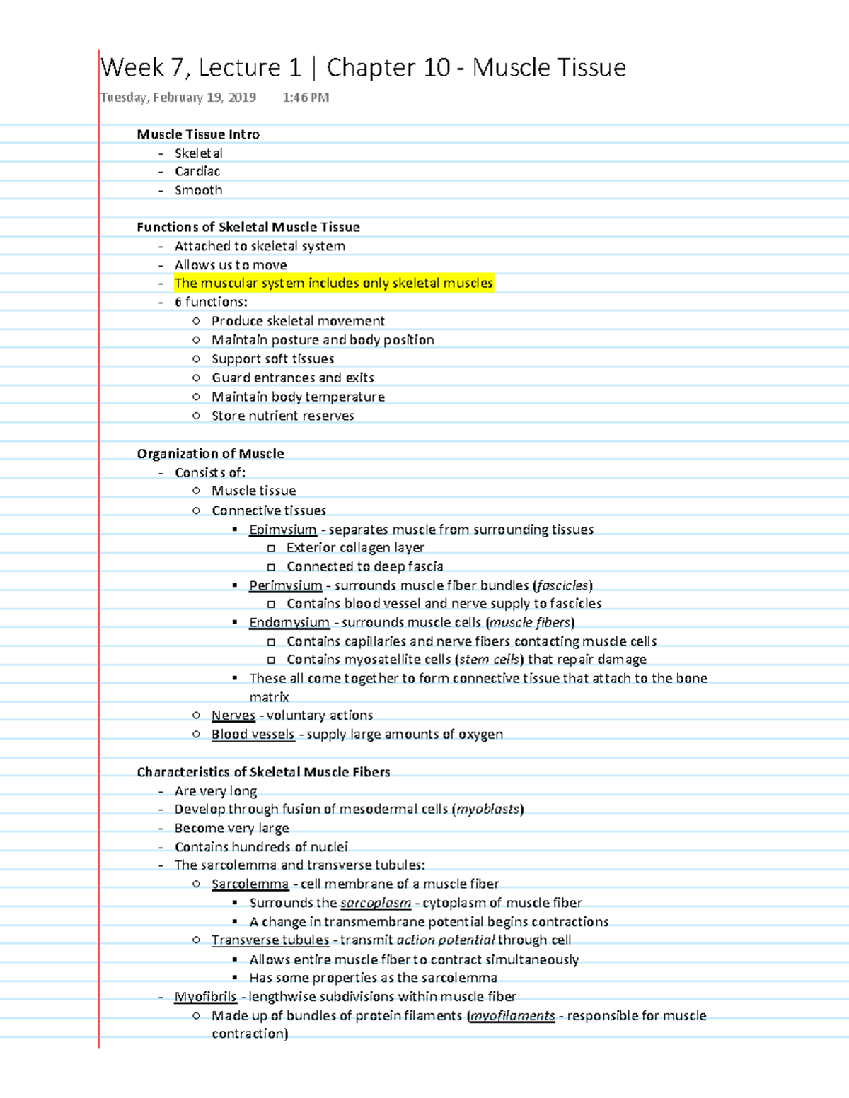 Chapter 10 - Muscle Tissue - Muscle Tissue Intro - Skeletal - Cardiac ...