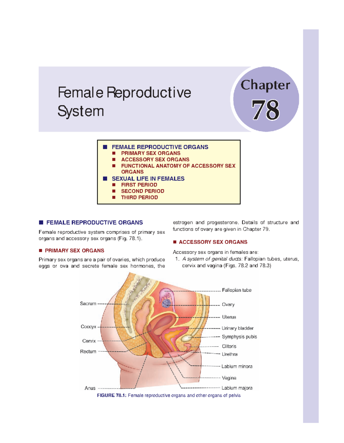 K Sembulingam - Essentials of Medical Physiology, 6th Edition-56 - Female  Reproductive System - Studocu