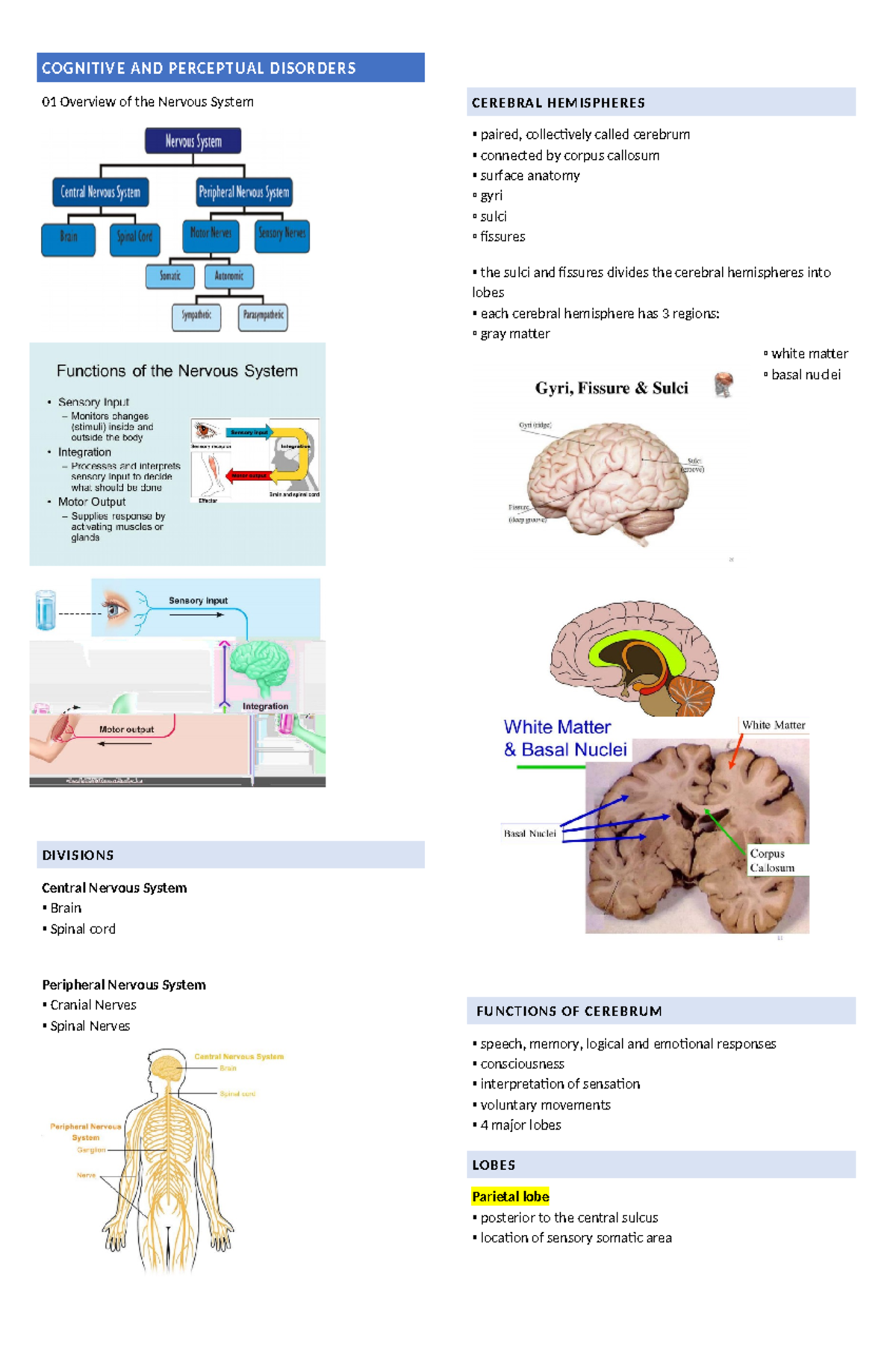 Ms2- Prelims L1 - N A - Cognitive And Perceptual Disorders 01 Overview 