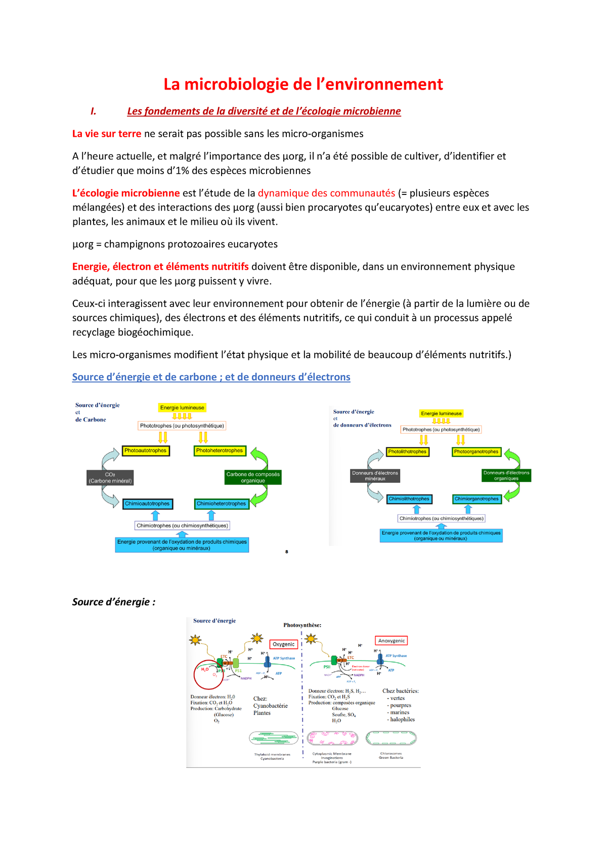 Cours 1 - Microbiologie De L'environnement - La Microbiologie De L ...