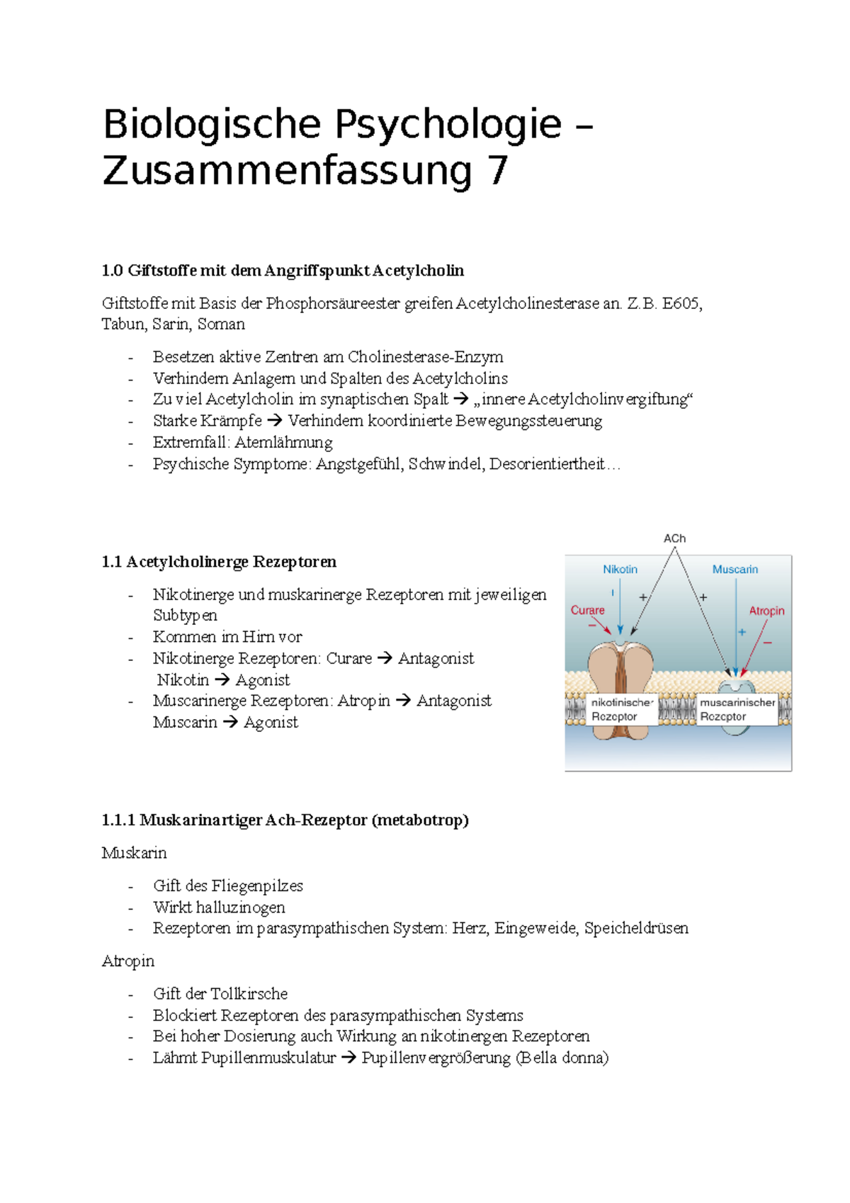 7. Vorlesung 7 Zusammenfassung Biologische Psychologie - Biologische ...