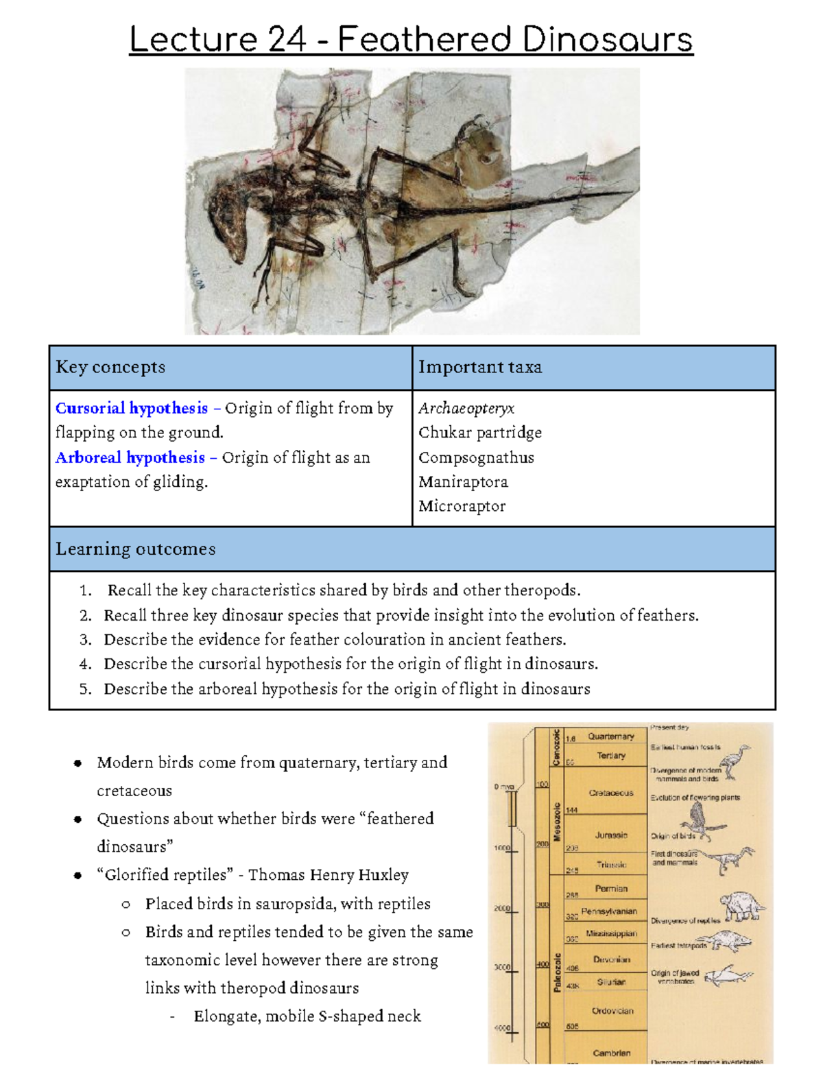 Module 5 - Birds - Lecture notes 24-29 - Lecture 24 - Feathered ...