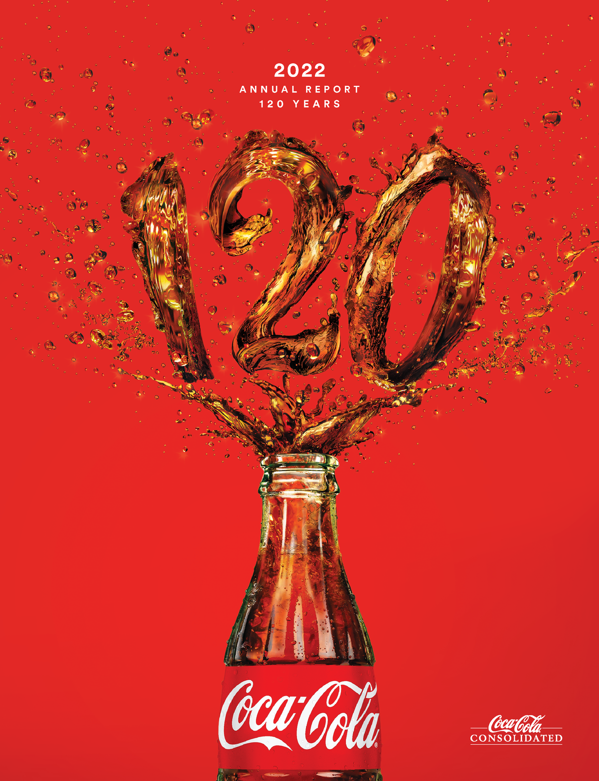 Coca Cola-2022-Annual-Report - A N N U A L R E P O R T 1 2 0