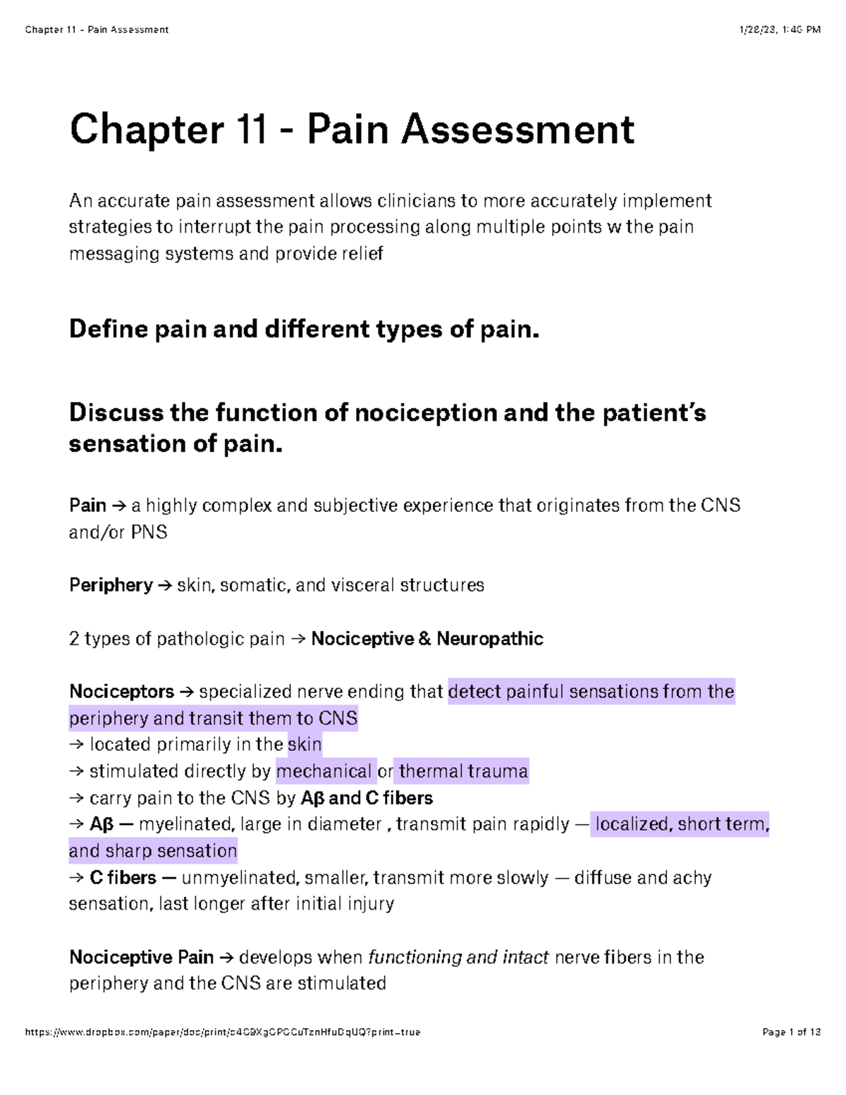 thesis on pain assessment