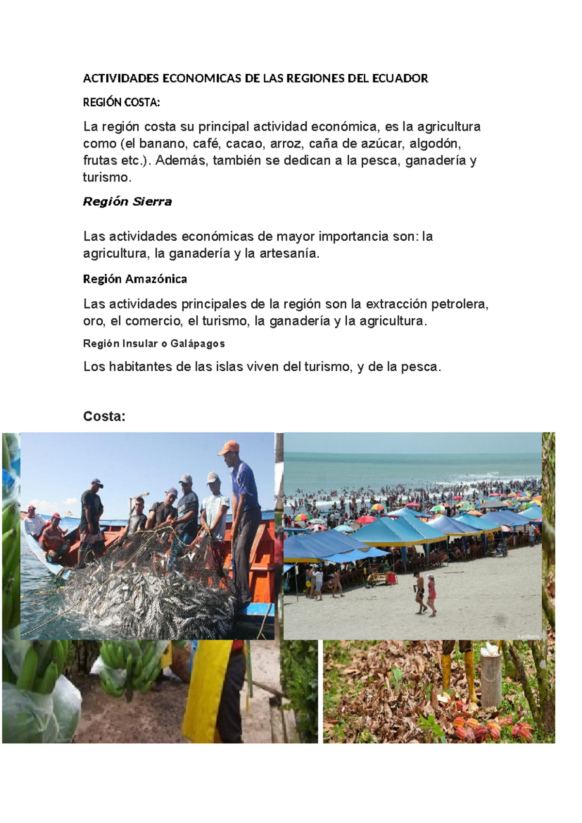 Actividades Economicas DE LAS Regiones DEL Ecuador - ACTIVIDADES ...
