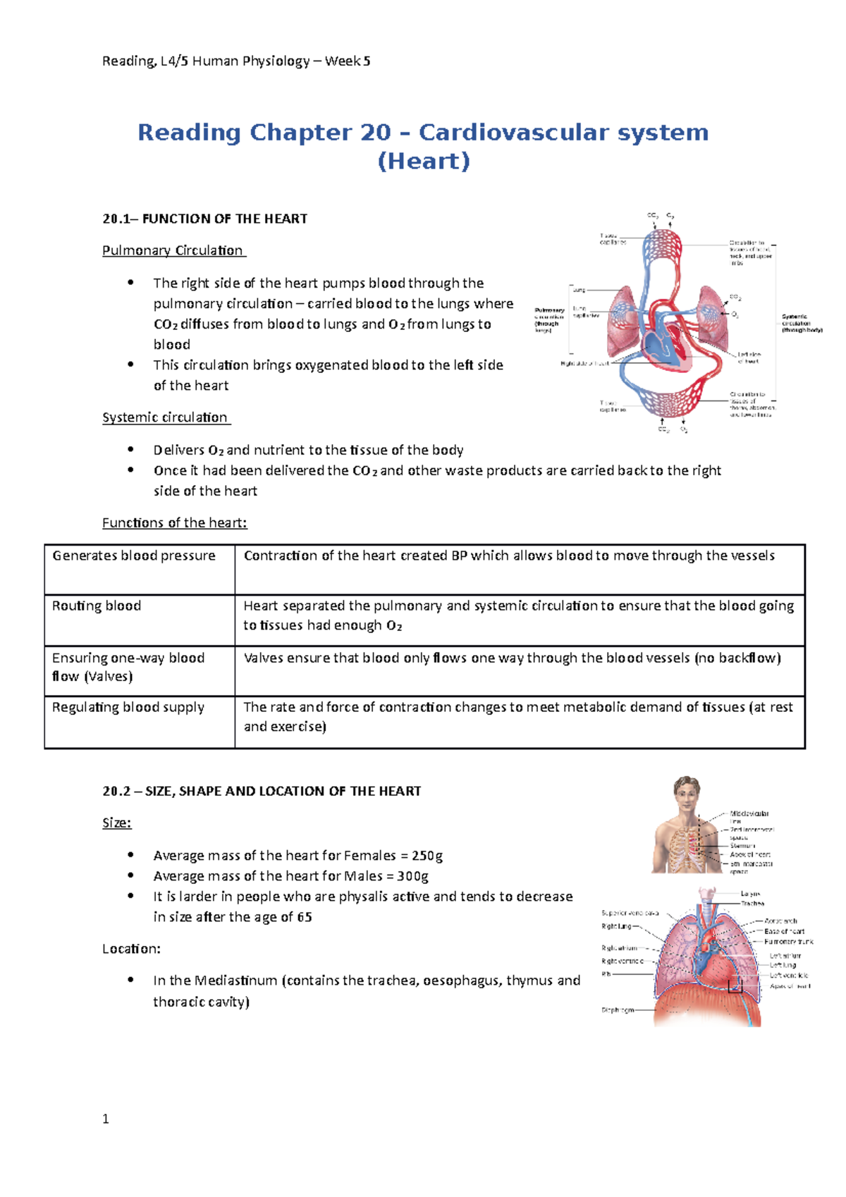 L5 - The Cardiac Cycle and Intrinsic Regulation of Cardiac Output ...