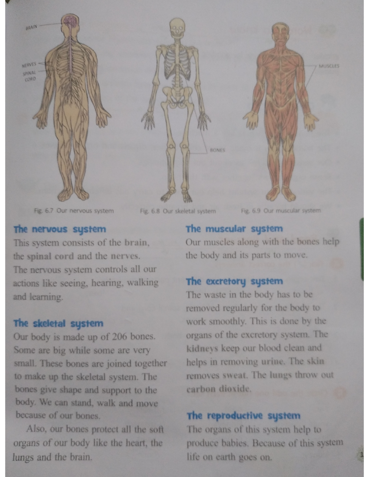 Our Body Systems - Helping assignment - Food Science And Nutrition ...