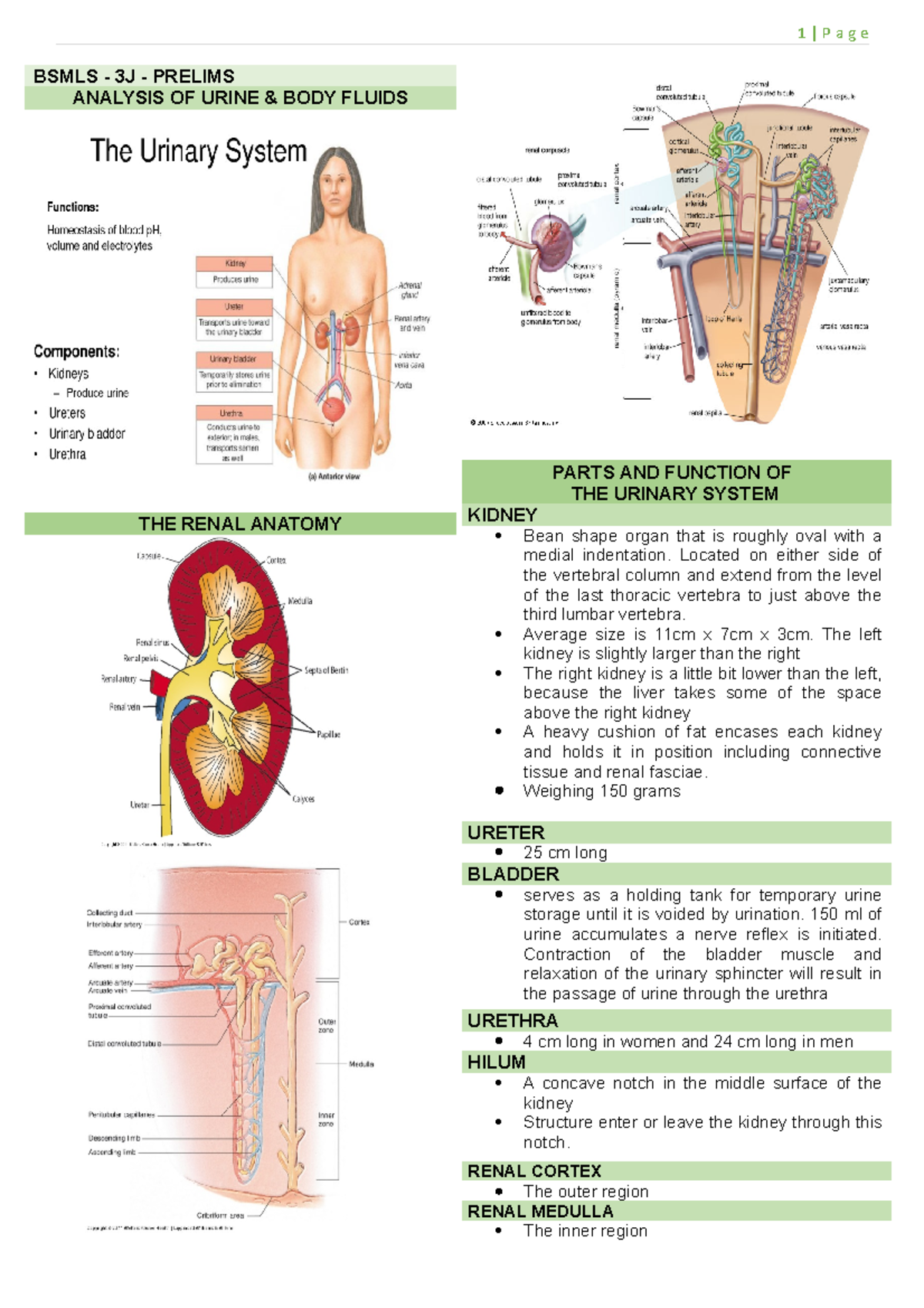 Aubf prelim notes - BSMLS - 3J - PRELIMS ANALYSIS OF URINE & BODY ...