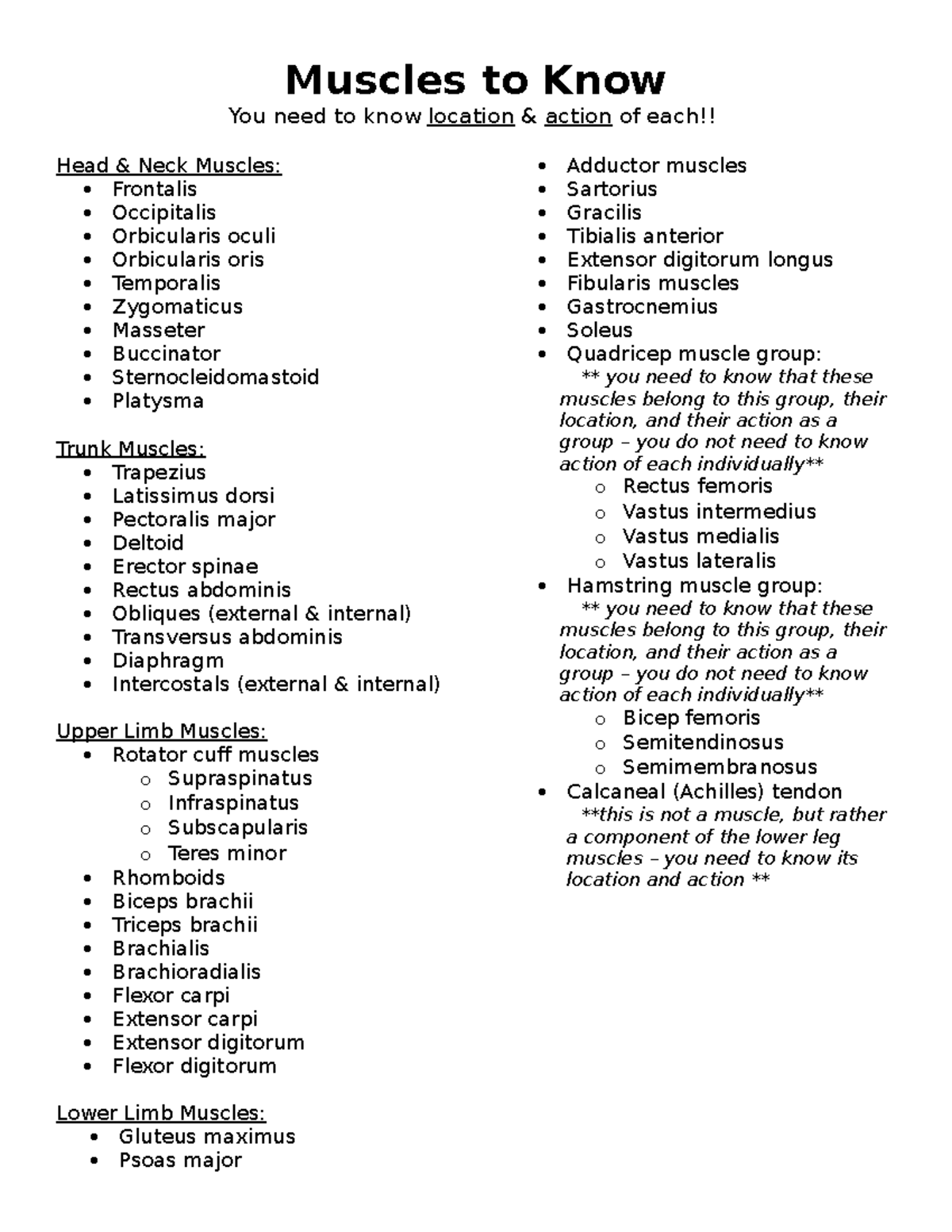Muscles to Know Flashcards - Muscles to Know You need to know location ...