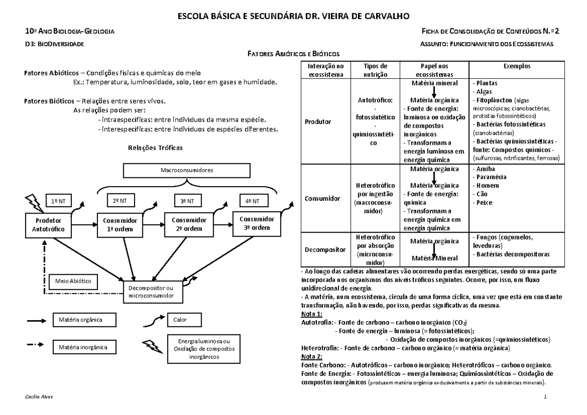 Consolidação nº2-Funcionamento dos ecossistemas - ESCOLA BÁSICA E ...
