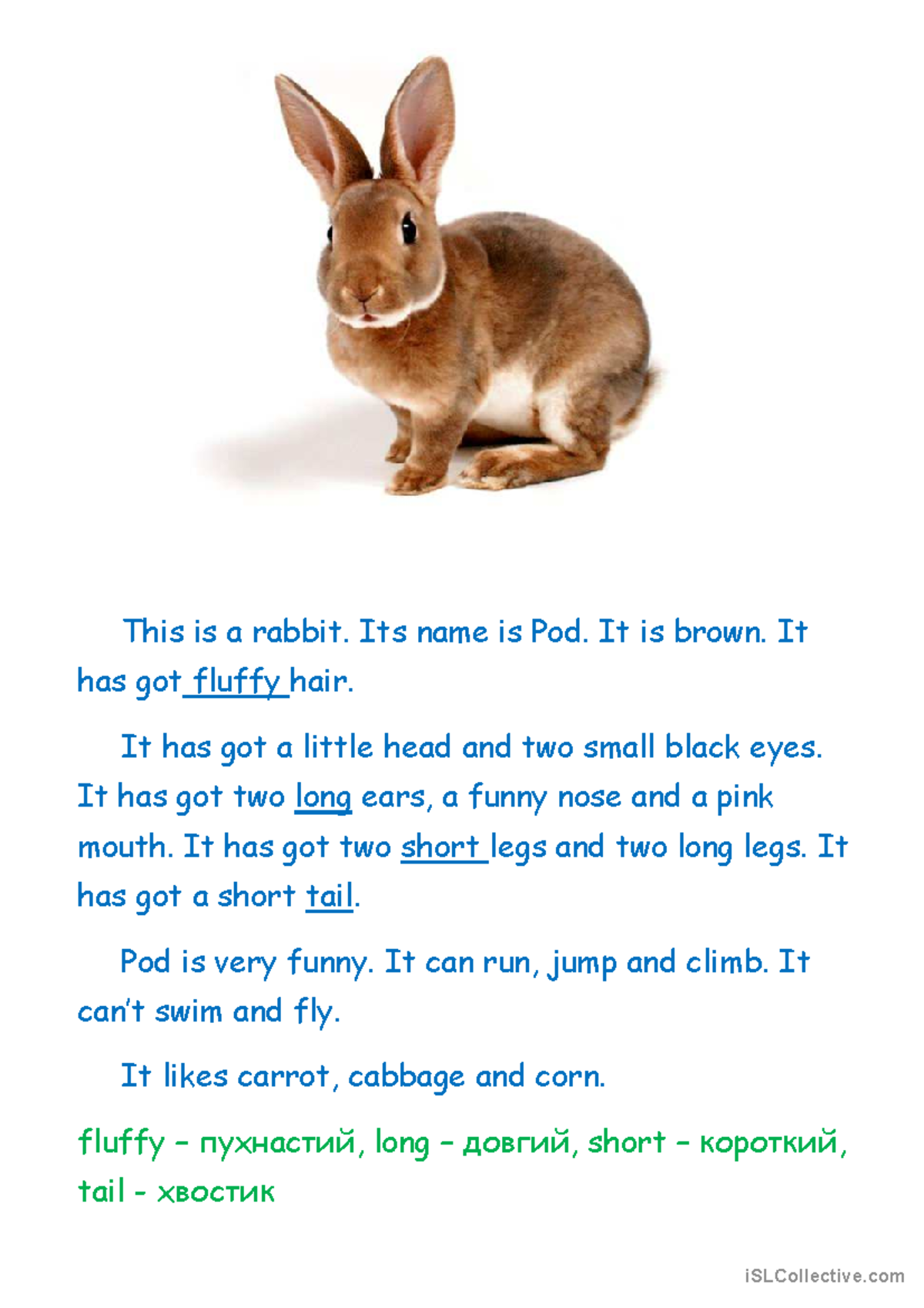 Describing a pet - Pet - Communication in English I - This is a rabbit ...