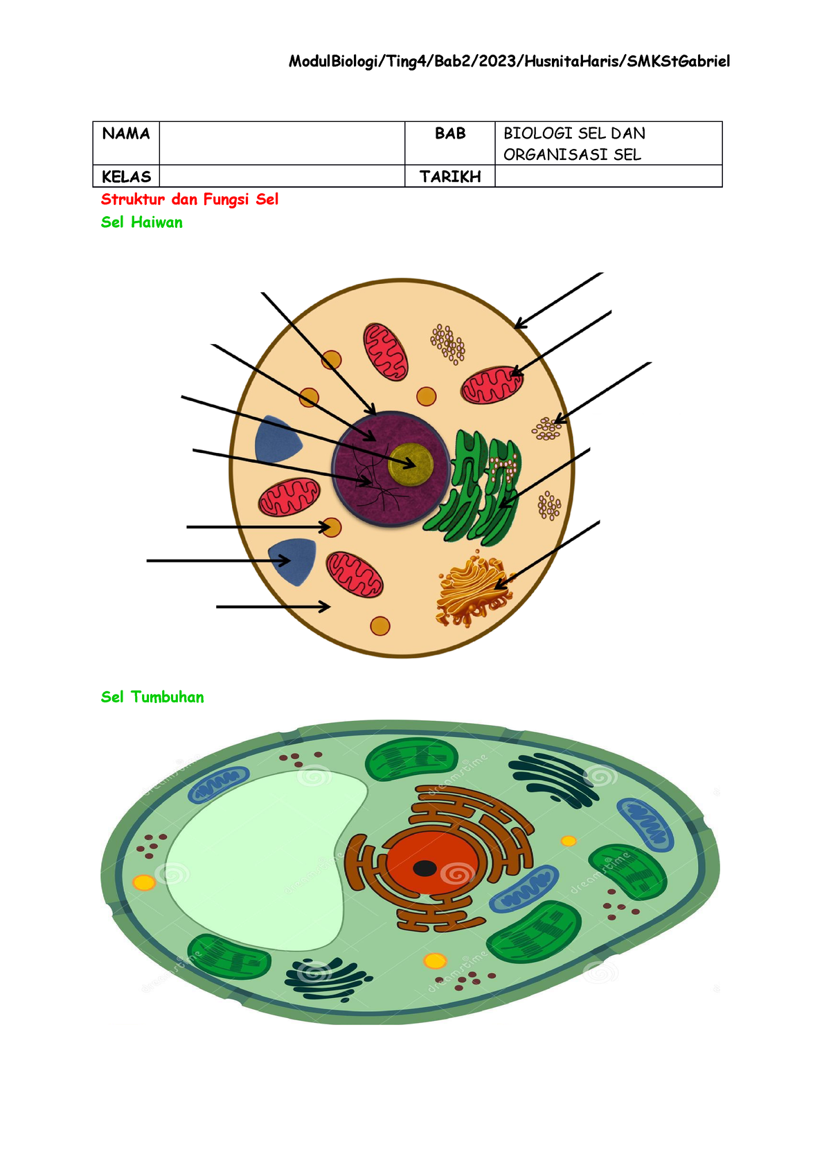 Bab 2 - Biology F4 Bab 2 Kssm - NAMA BAB BIOLOGI SEL DAN KELAS TARIKH ...