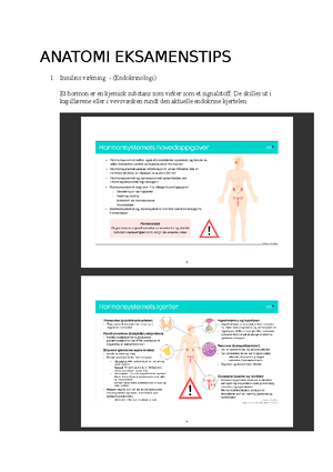 Anatomi Muskler Og Skjelett - Anatomicafè: «BEVEGELSESAPPARATET ...