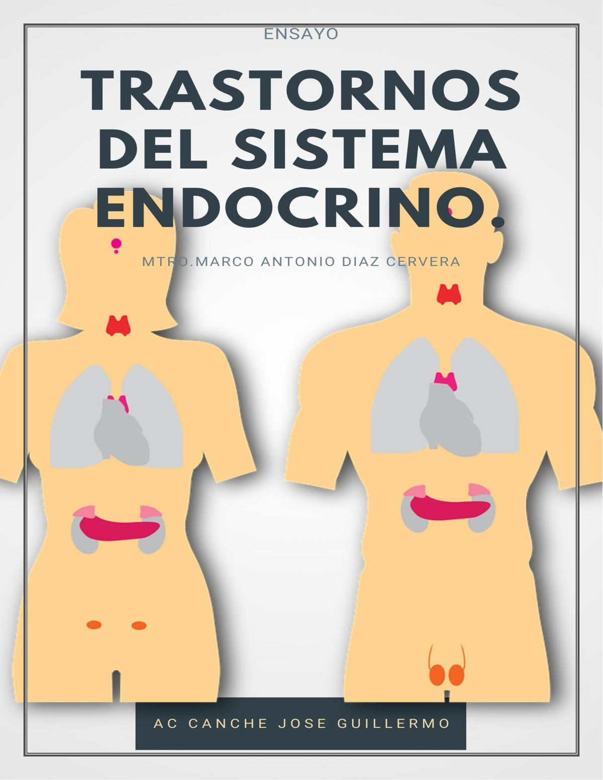 Trastornos del sistema endocrino Ac Canche Jose Guillermo Introducción El marco