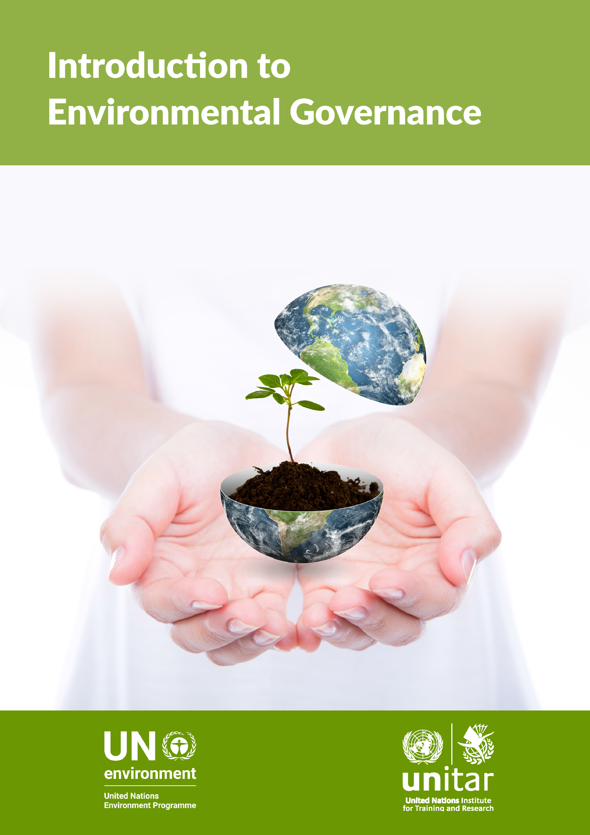 thesis on environmental governance