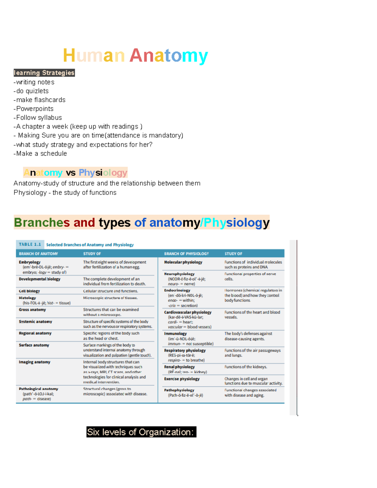Anatomy 201 Notes - Human Anatomy learning Strategies -writing notes ...