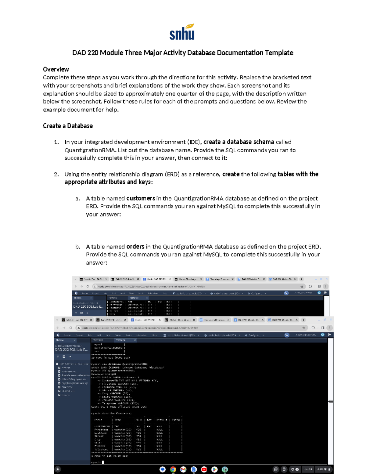 DAD 220 Module Three Major Activity Database Documentation Template ...