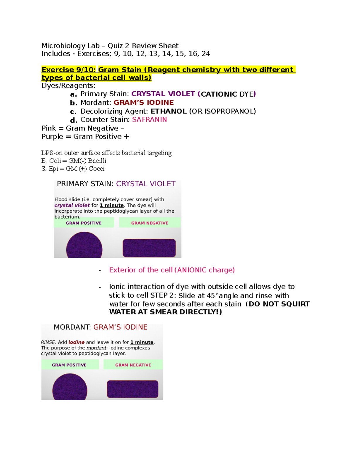 BIO 211 L Quiz 2 Review Sheet Microbiology Lab Quiz 2 Review Sheet