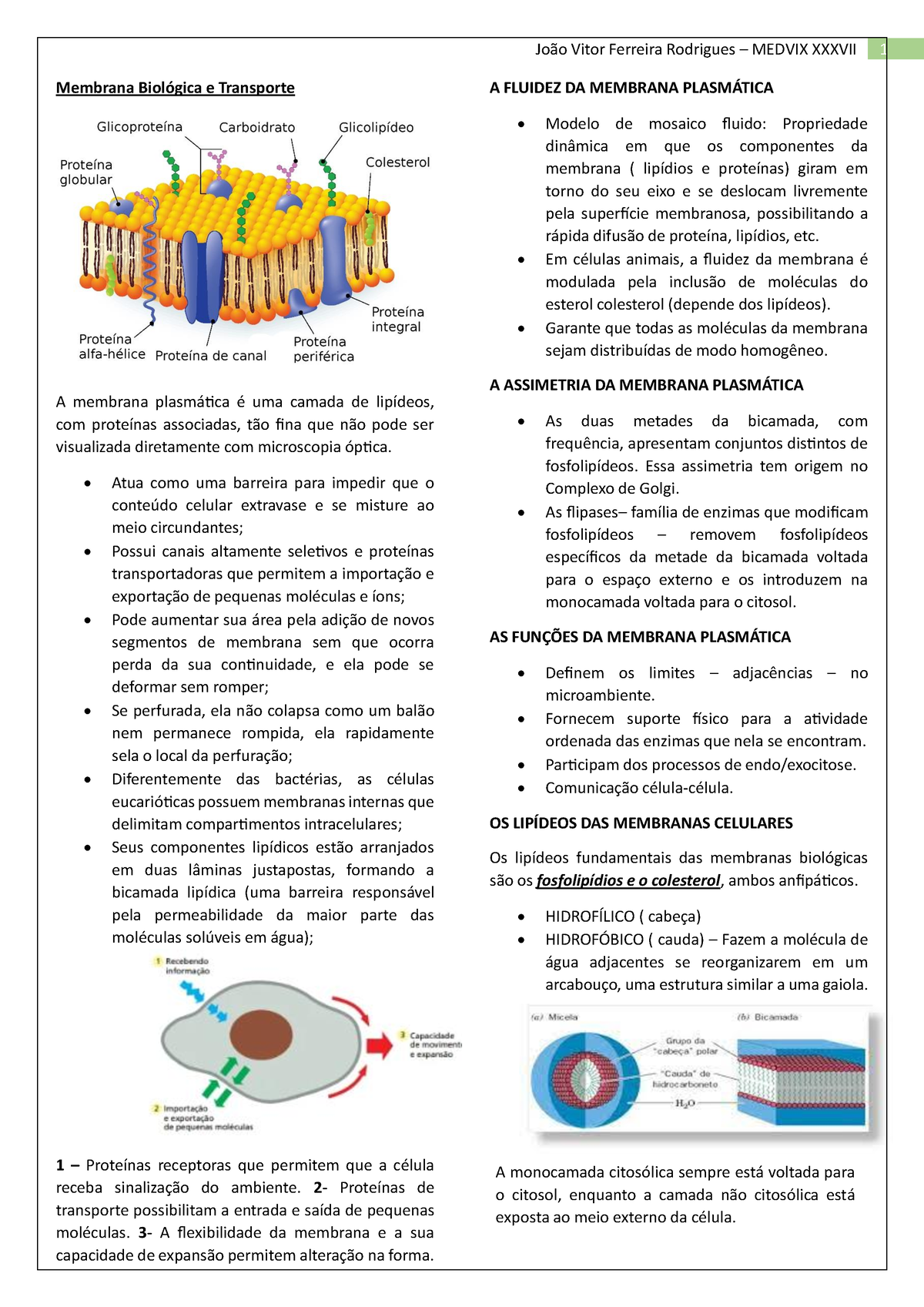 Resumo Membrana Plasmática Aula 1 João Vitor Ferreira Rodrigues Medvix Xxxvii 1 Membrana 2180