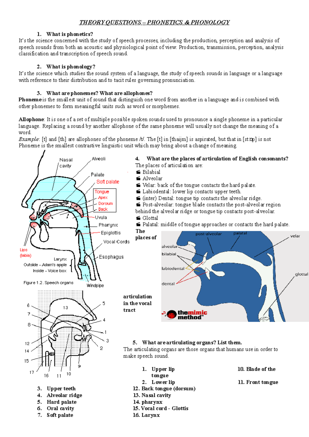 Theory Phonetics & Phonology - THEORY QUESTIONS – PHONETICS & PHONOLOGY ...