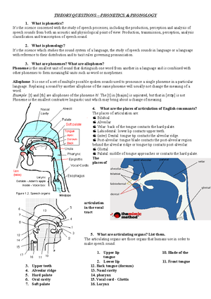 Plosives complete - Levey - FORTIS PLOSIVES (1) ASPIRATION i) Full ...