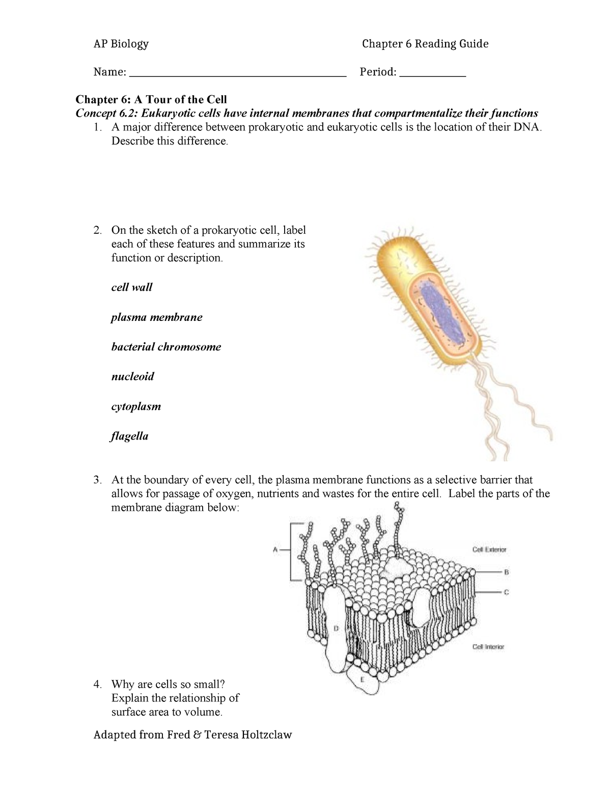 Ch 6 reading guide - Name ...