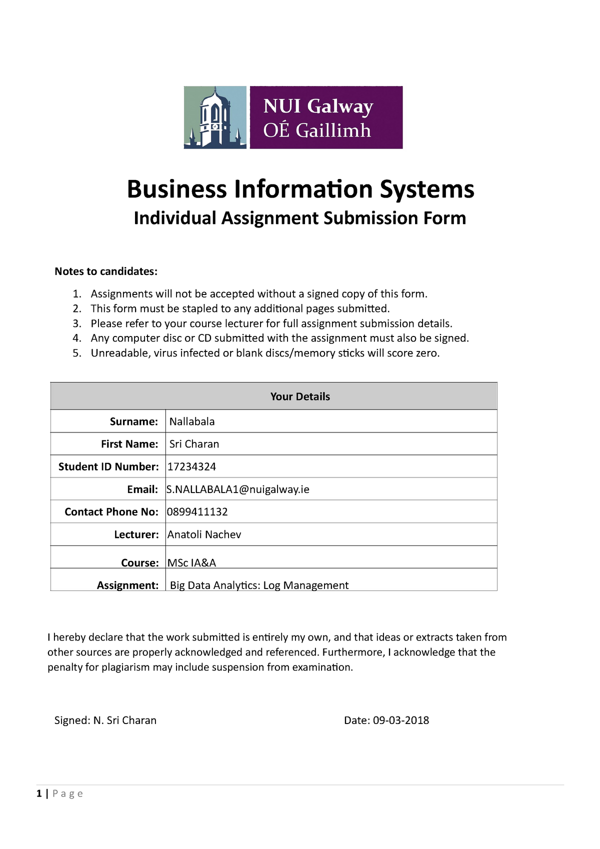 Big data Assignment - Analytics - Business Information Systems