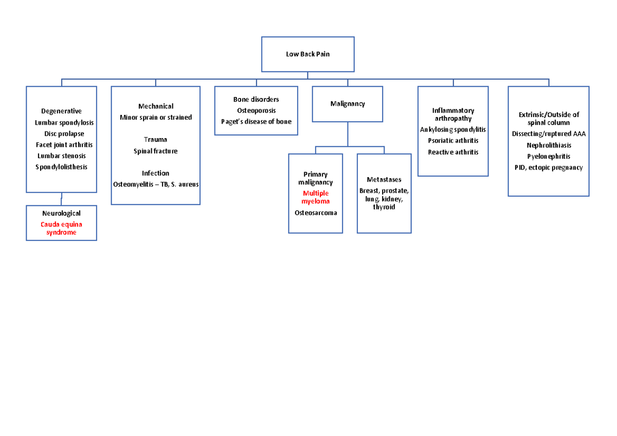 Low Back Pain Differential Diagnosis Low Back Pain Degenerative Lumbar spondylosis Disc