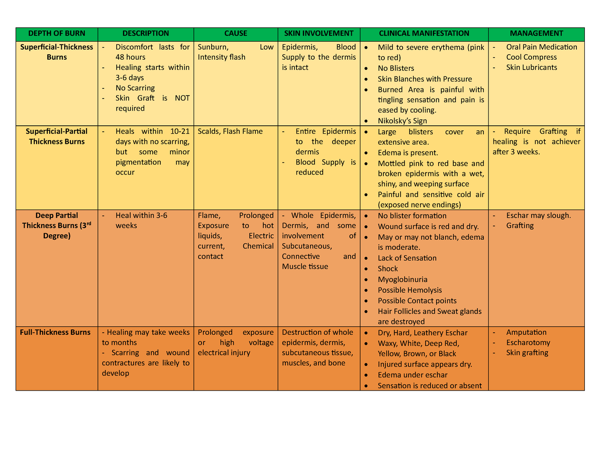 depth-of-burn-injury-summary-nursing-depth-of-burn-description