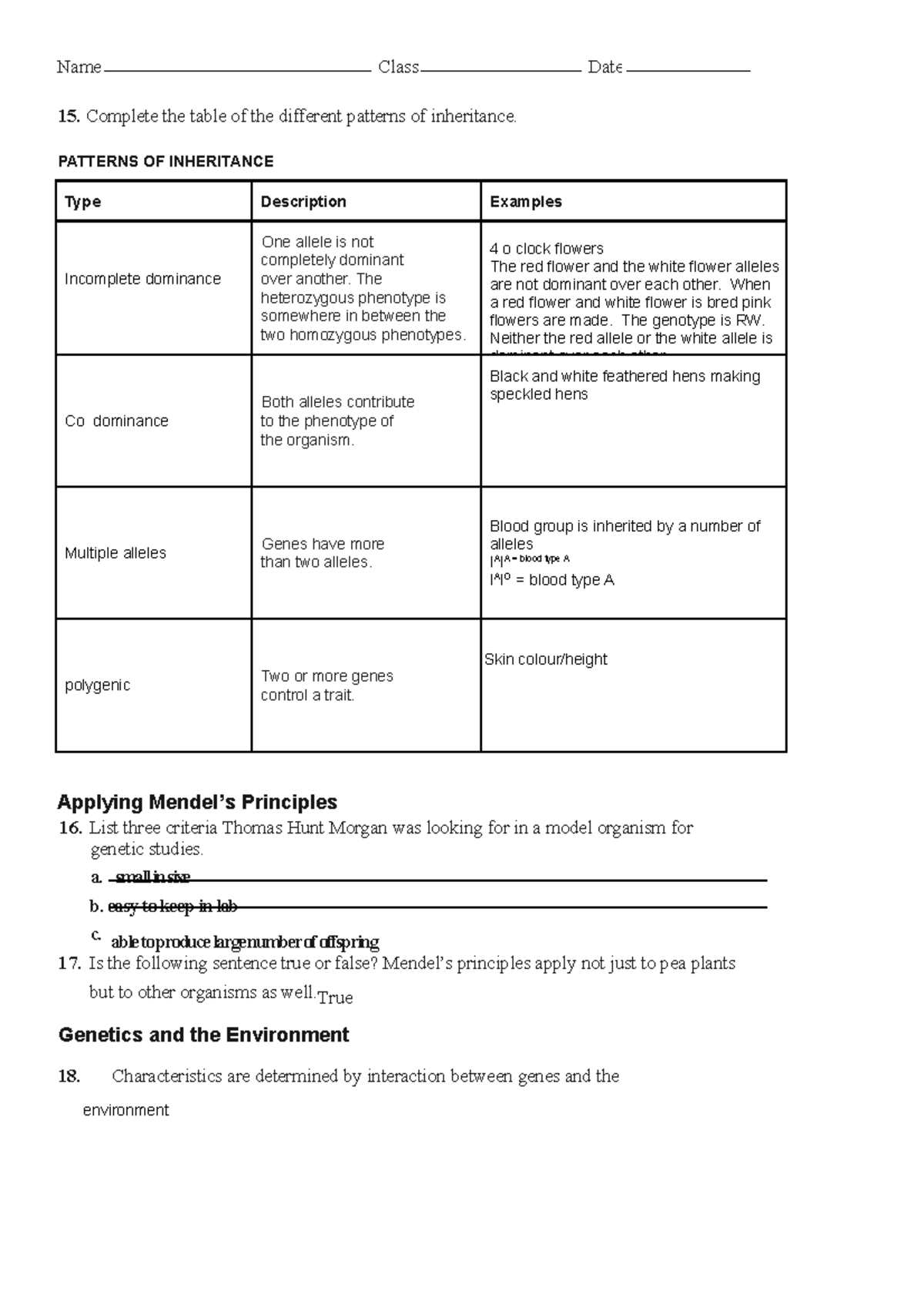 Answers%20 Patterns%20OF%20 Inheritance - Name Class Date 15. Complete ...