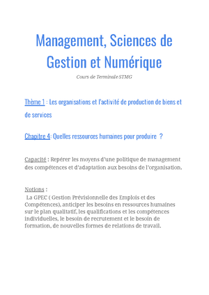 Fiche De Révision Chapitre 1 De Management Terminale - Management ...