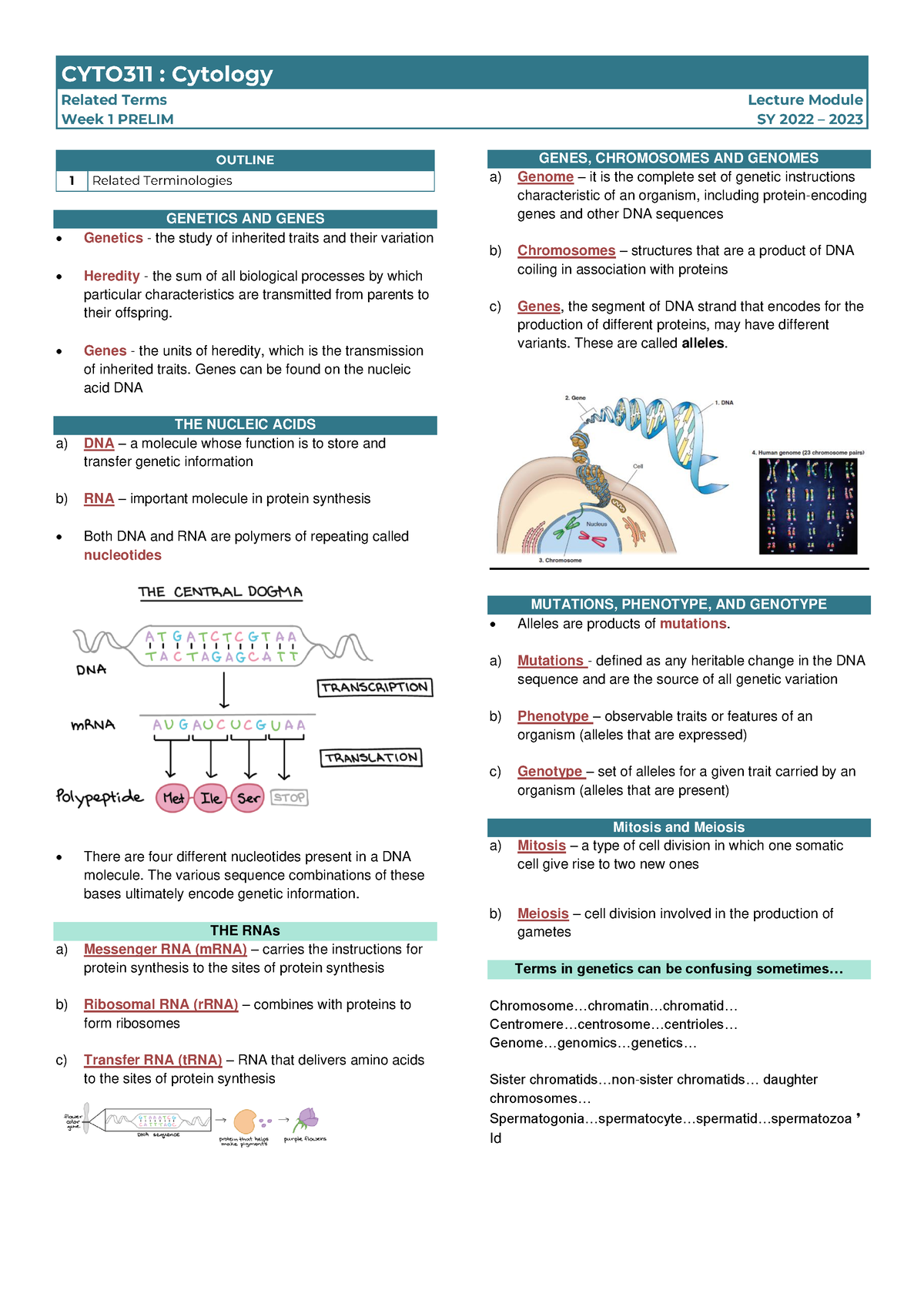 CYTO311 wk1-2 related terms - GENETICS AND GENES Genetics - the study ...