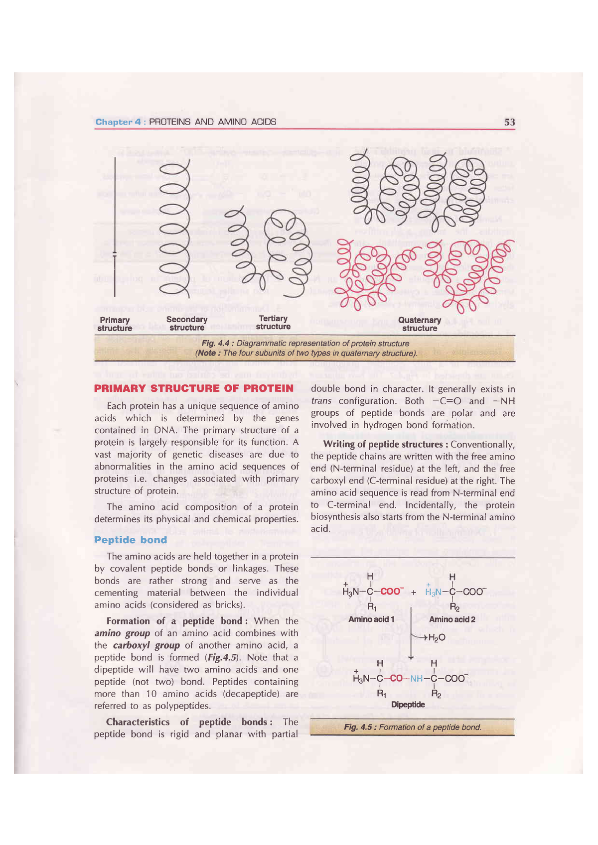 bio-chemistry-by-satyanarayan-u-60-71-chapter-4-proteins-and-amino