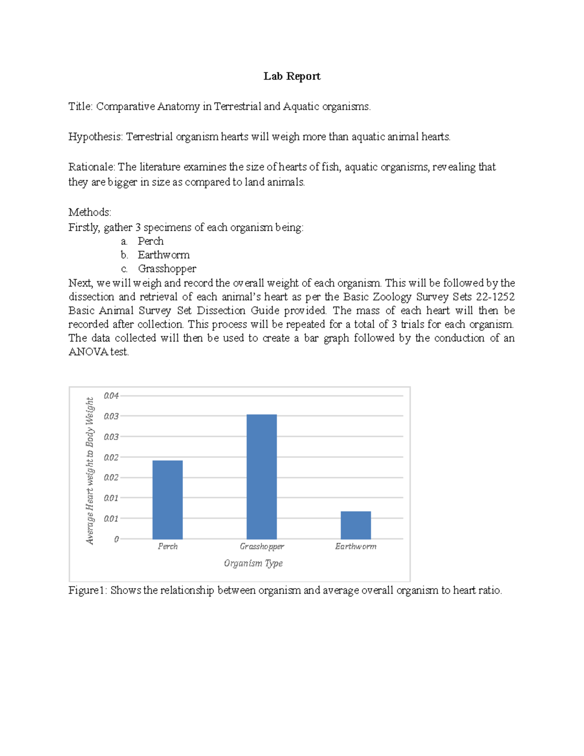 Lab Report Dissection Lab Report Title Comparative Anatomy in
