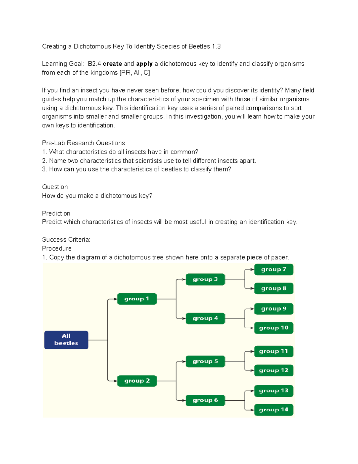 Coleoptera Key Group Lab - Creating a Dichotomous Key To Identify ...