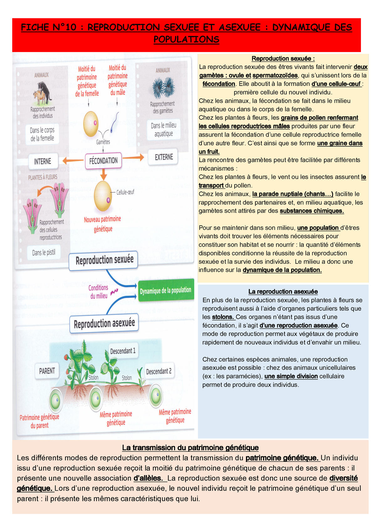 Fiche No10 Reproduction Sexuee Et Asexuee 2 Fiche N°10 Reproduction Sexuee Et Asexuee