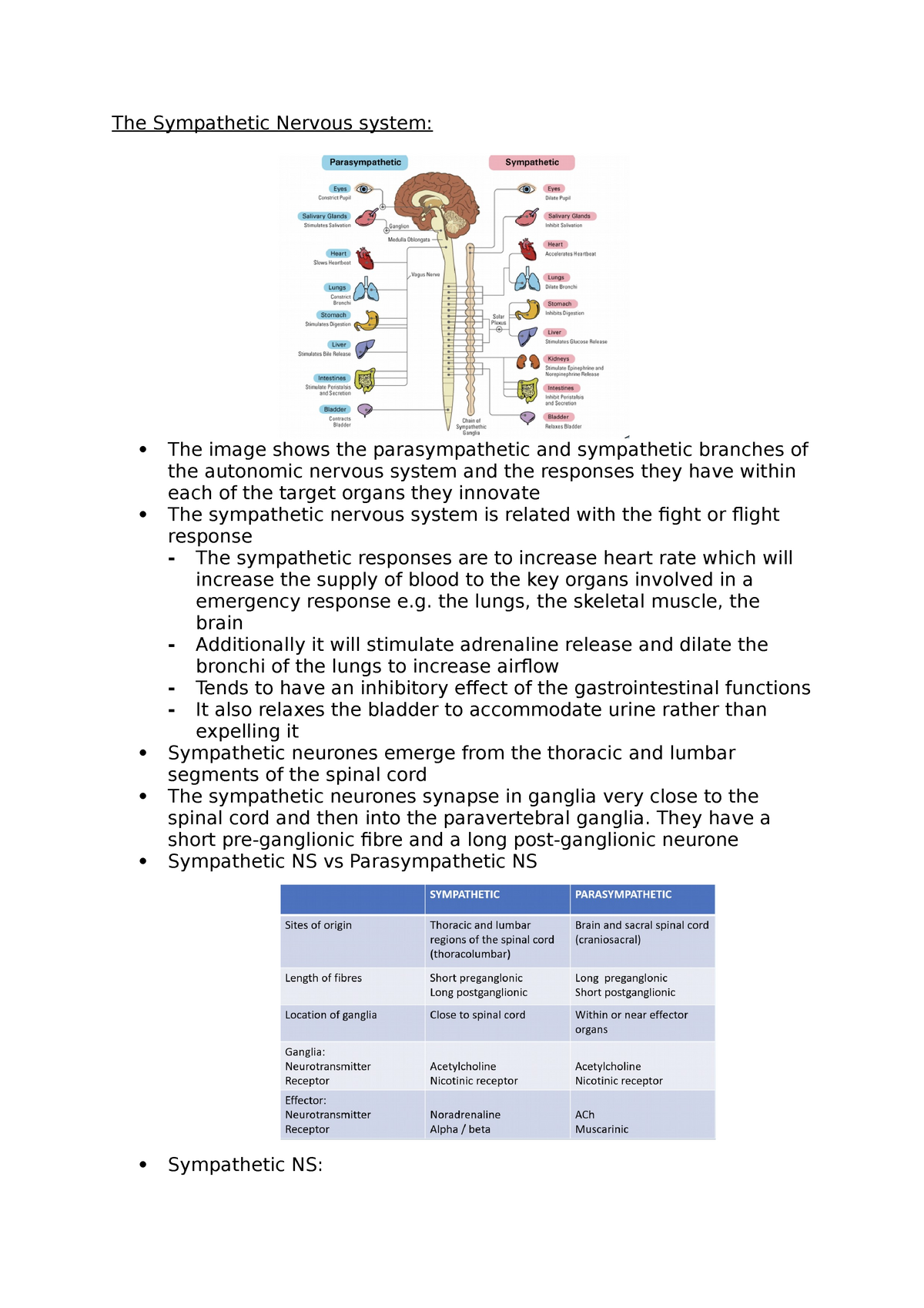 assignment on sympathetic nervous system