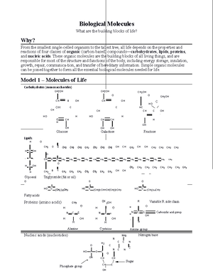 Cracking The Code Glycolysis And Krebs Cycle Pogil Made Easy - nn2z41e