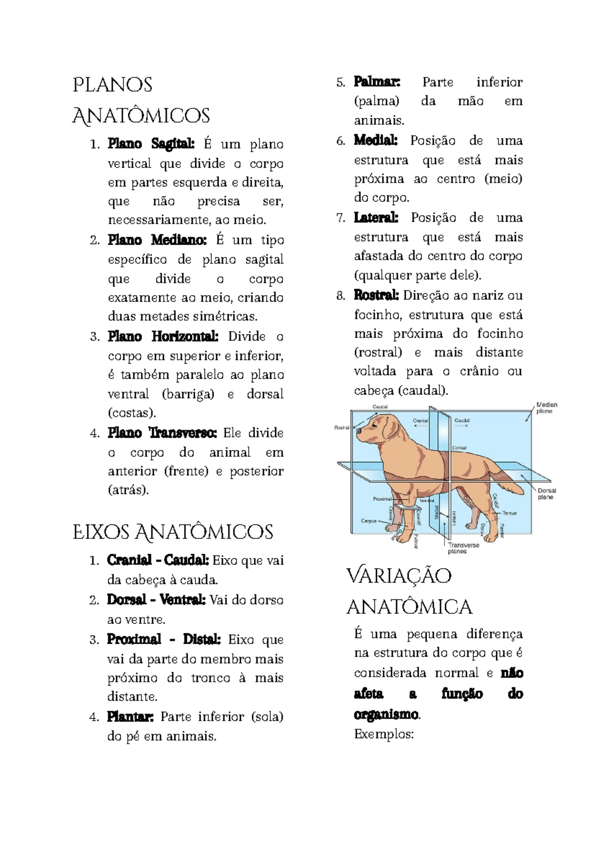 Revisão Morfofisiologia - Planos Anatômicos 1. Plano Sagital: É um ...