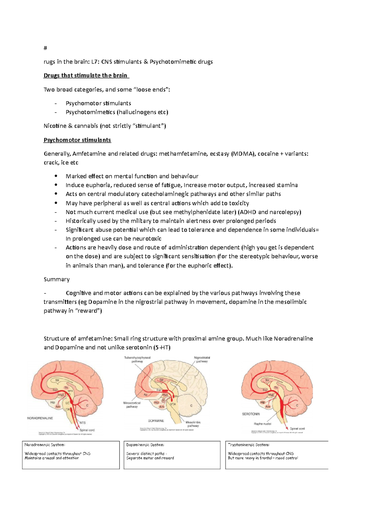 L7 - Lecture notes 7 - rugs in the brain: L7: CNS stimulants ...