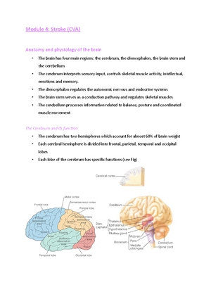 Module 4 Stroke notes - Module 4: Stroke (CVA) Anatomy and physiology ...