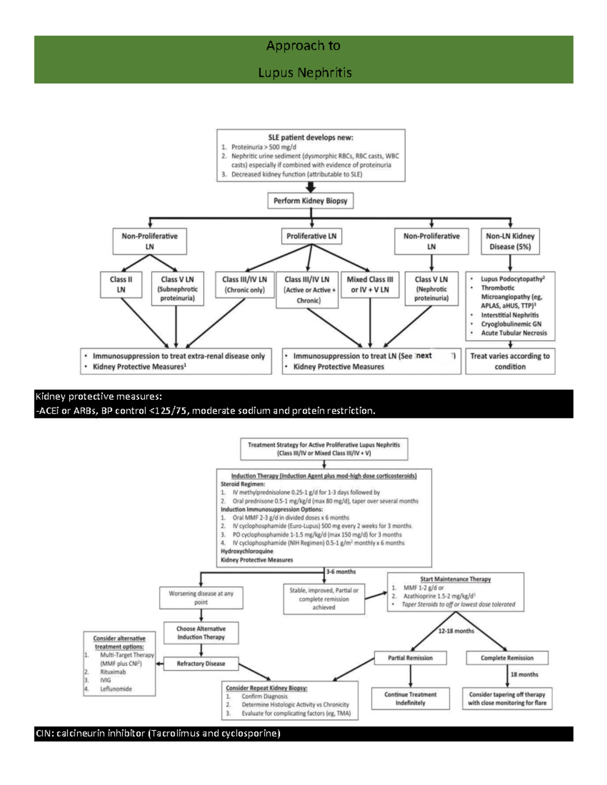 Sle nephritis - summary of American collage of Rheumatology guidelines ...
