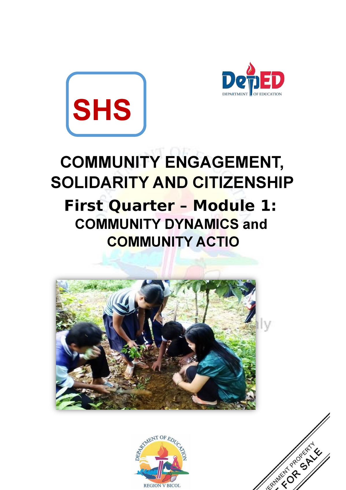 essay community engagement solidarity and citizenship