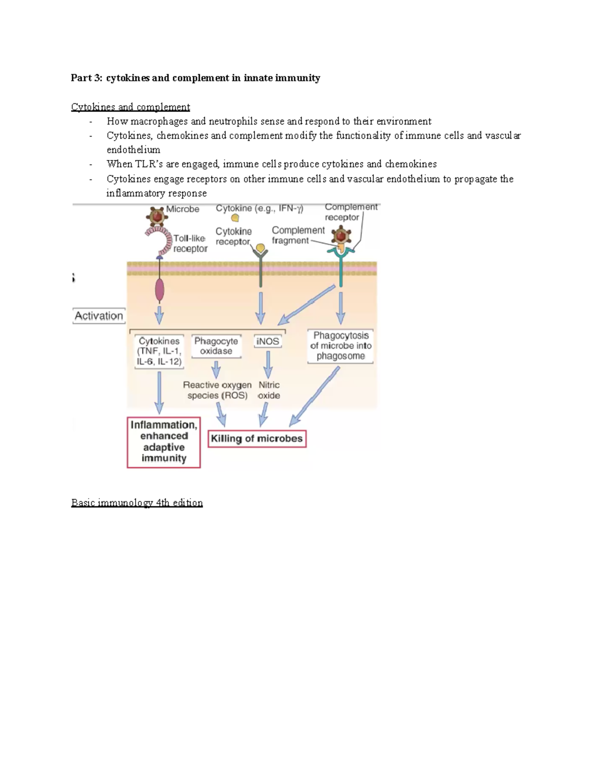 Part 3 cytokines and complement in innate immunity - Part 3: cytokines ...